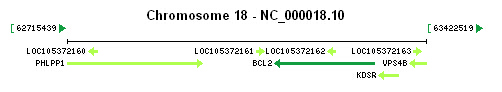 BCL2 gene Genomic context BCL2 gene Genomic context