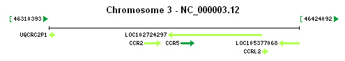 CCR5 gene Genomic context