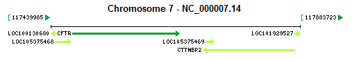 CFTR gene Genomic context CFTR gene Genomic context