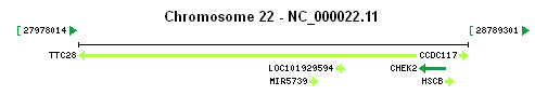 CHEK2 gene Genomic context