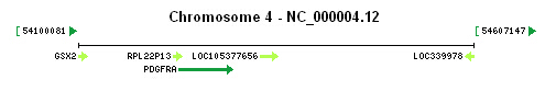 PDGFRA gene Genomic context