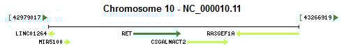 RET gene Genomic context