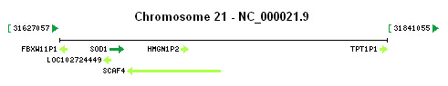 SOD1 gene Genomic context SOD1 gene Genomic context