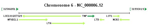 TNF gene Genomic context
