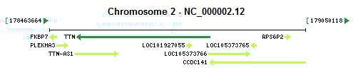 TTN gene Genomic context