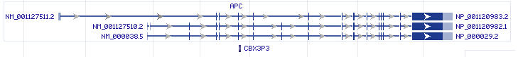 APC gene Genomic sequence