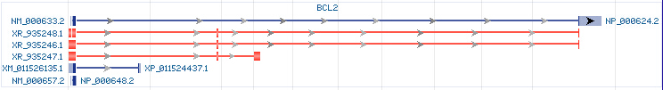 BCL2 gene Genomic sequence BCL2 gene Genomic sequence