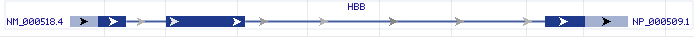 HBB gene Genomic sequence