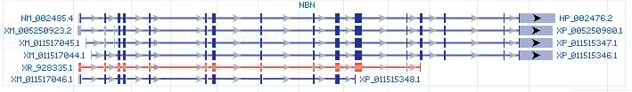 NBN gene Genomic sequence