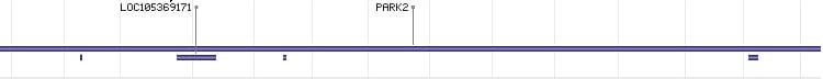 PARK2 gene Genomic sequence PARK2 gene Genomic sequence