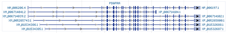 PDGFRA gene Genomic sequence