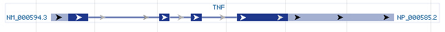 TNF gene Genomic sequence