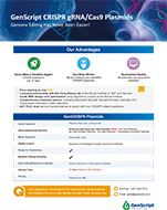 GenScript CRISPR Plasmid Service