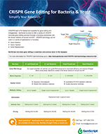 Brochures and Catalogs