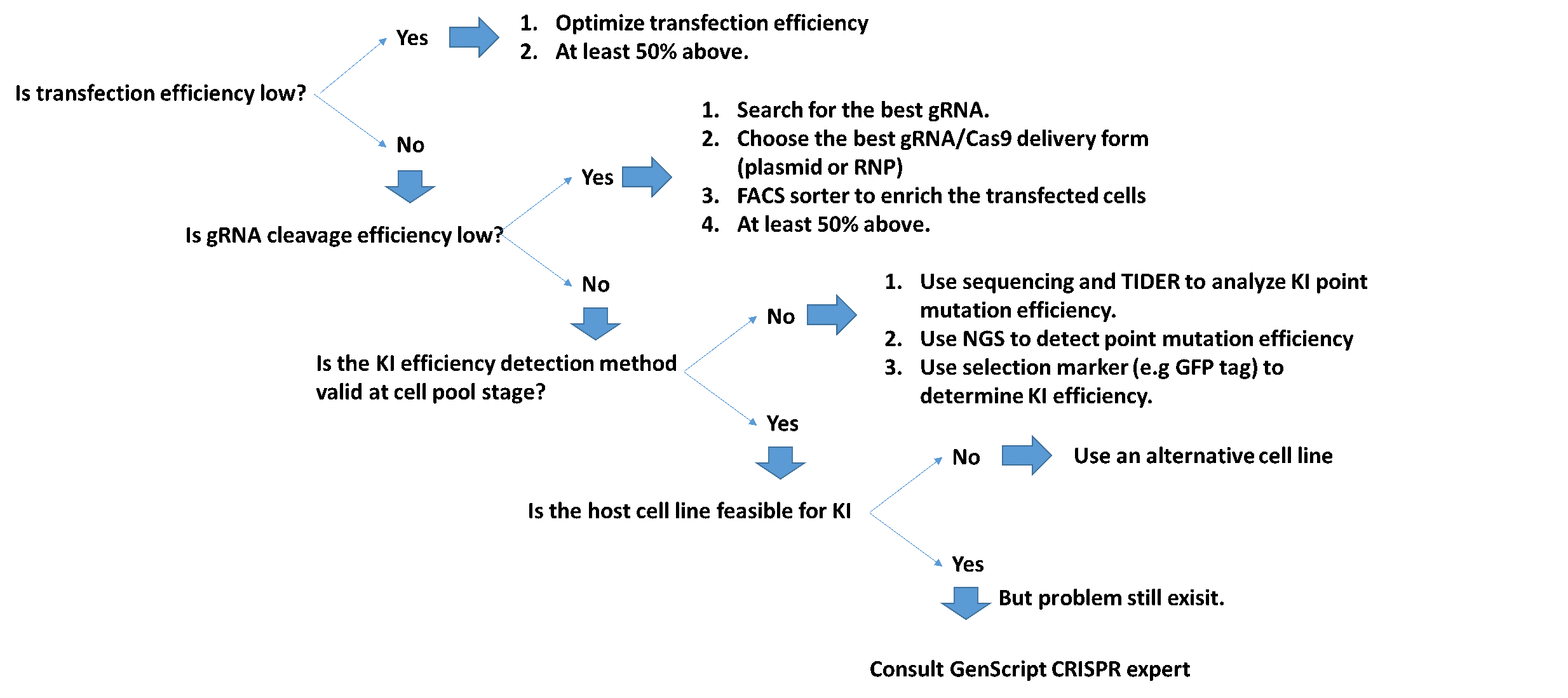 Single Stranded Dna Synthesis Service