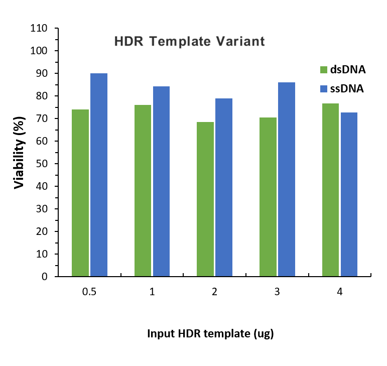 ssDNA vs dsDNA templates- cytotoxicity