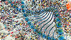 human genome, HERV insertions, Human Endogenous Retrovirus insertions