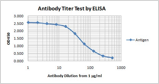 ELISA titer guaranteed custom polyclonal antibody services