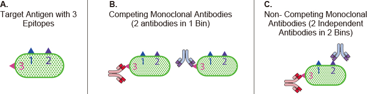 Independent Antibody Pairs