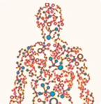 human proteome map, human protein atlas, proteomics