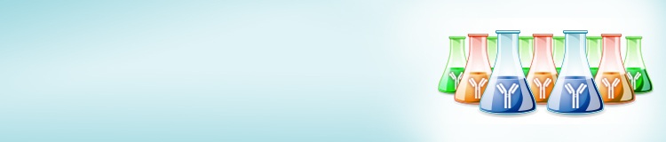 Large-scale antibody manufacturing services