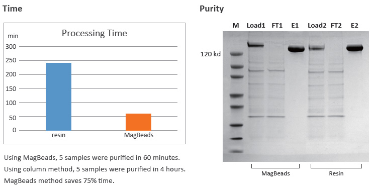 Comparison of MagBeads and Resin purification