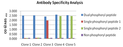 MonoBoost™ Protocol antibody specificity analysis