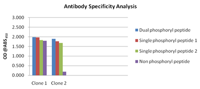 Conventional Protocol antibody specificity analysis