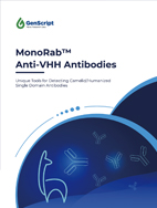 MonoRab™ Anti-Camelid VHH Antibodies