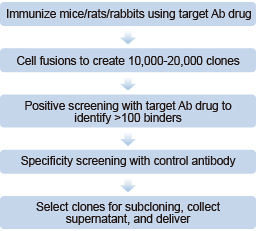 mouse/rat anti-idiotype mAb