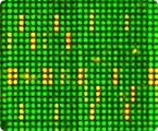 biomarker detection, cancer detection