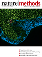 Optogenetics goes two-channel