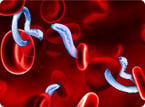 parasite survival, sleeping sickness