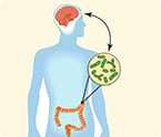 gut microbes and mental health