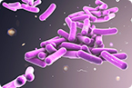 New probiotic activates microbiome to treat non-gastrointestinal cancer