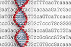 epigenetics
