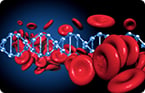 methylation, circulating DNA