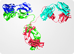 Novel strategy for recombinant protein and antibody fragment production