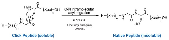 click peptide synthesis of beta amyloid