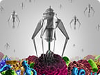 Oncolytic virus such as new HSV virotherapy can be combined with antibody immunotherapies for cancer treatment