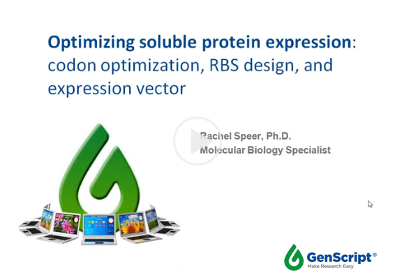 Codon optimization for protein expression