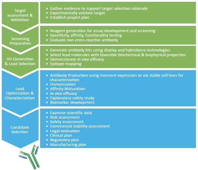 Antibody Drug Discovery Overview