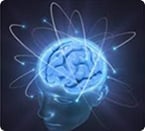 Alzheimer's disease genes in human genome evolution