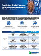 Preclinical Plasmid Prep Flyer