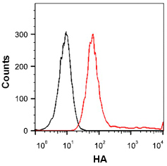 Flow cytometric analysis using THE™ HA Tag Antibody [iFluor 647], mAb, Mouse