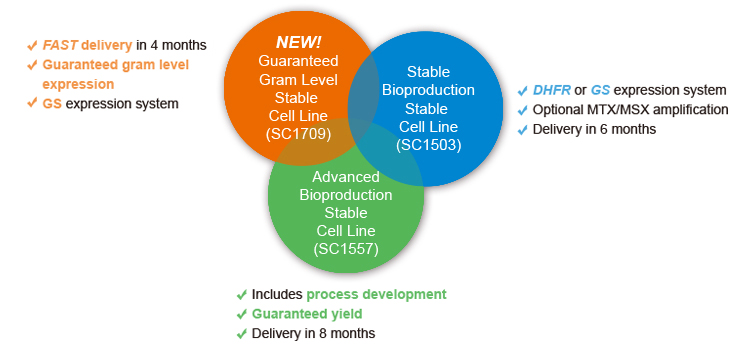 GenScript Production Stable Cell Line Service Options GenScript Production Stable Cell Line Service Options