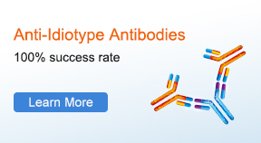 Anti-Idiotypic Antibodies