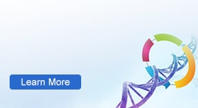 promo box custom gene synthesis