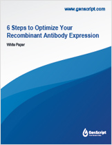 Protocols Tips for Recombinant Antibody
              Expression