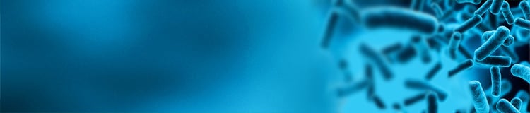 Bacpower™ Guaranteed Bacterial Protein Expression